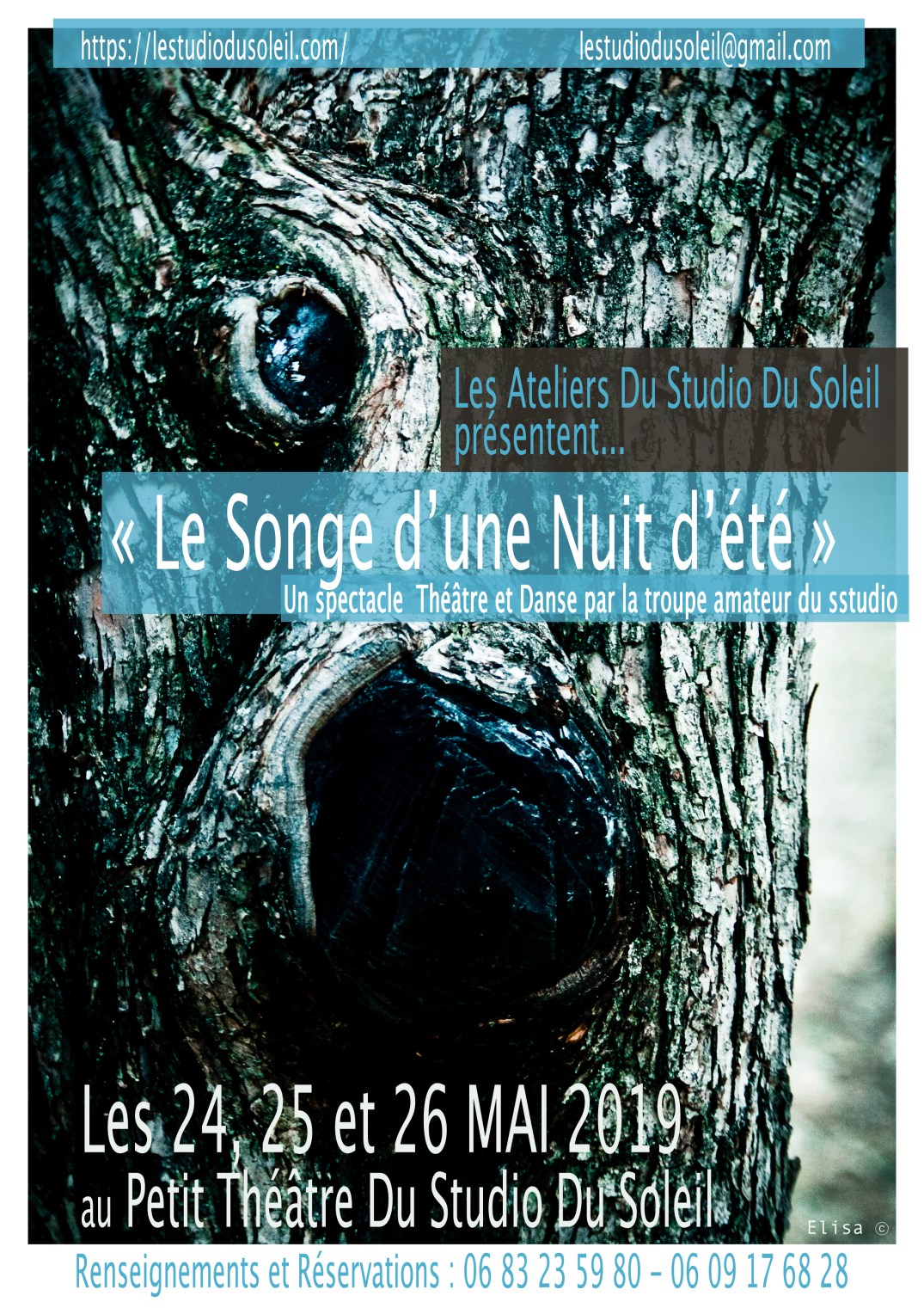 Affiche le Songe François Pommier.jpg